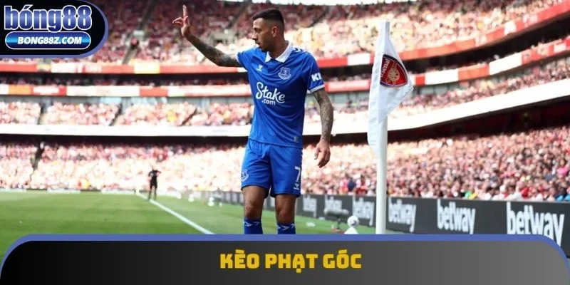 Cược phạt góc đang thu hút một lượng người chơi đông đảo Cược phạt góc đang thu hút một lượng người chơi đông đảo
